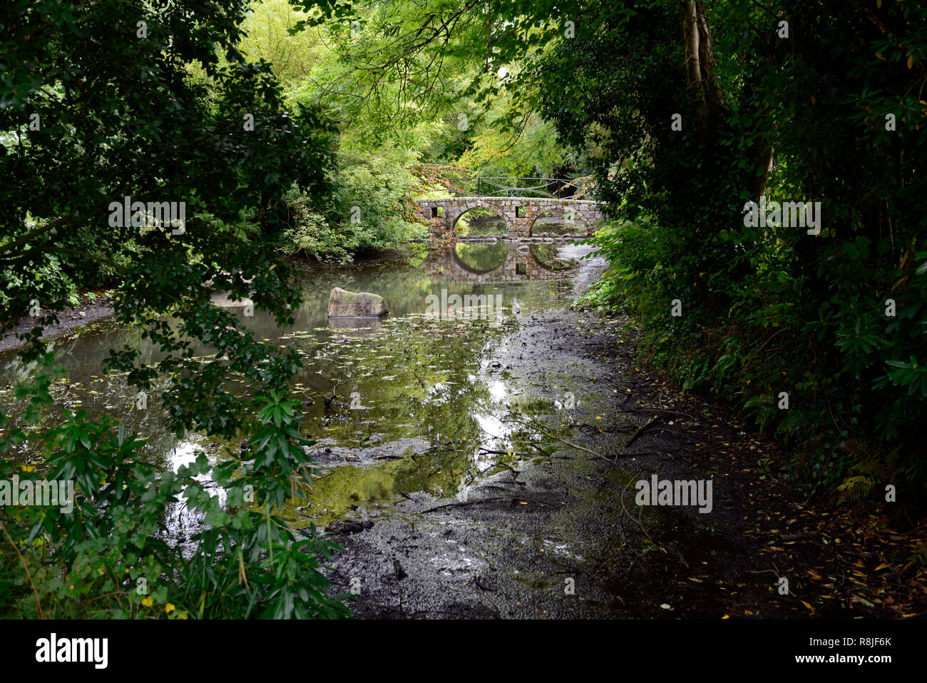 Stone arch bridge,reflection,reflect,lake,pond,drought,low water,reduced,reduce,climate change,altamont gardens,carlow,RM Floral Stock Photo