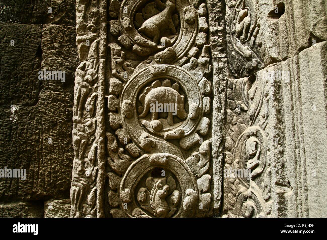 A dinosaur carving on a jungle temple ruins wall in Siem Reap, Cambodia Stock Photo
