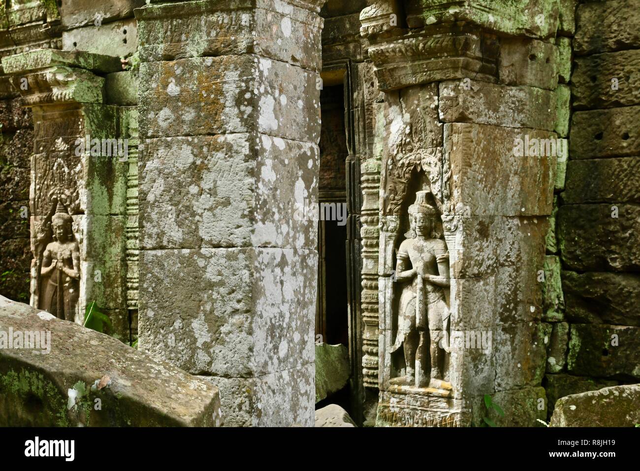 jungle temple ruins in Siem Reap, Cambodia Stock Photo - Alamy