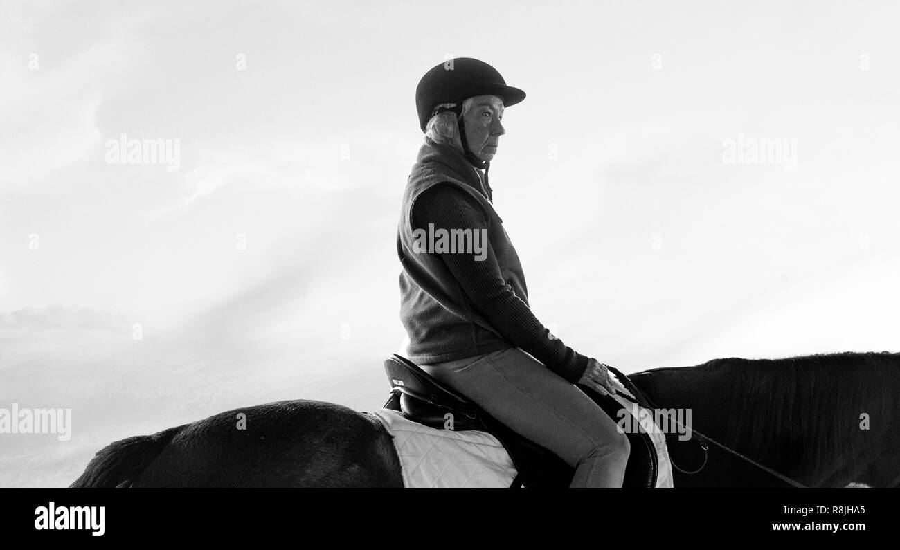 A Mature Women Riding a Horse Against The Sky. Stock Photo