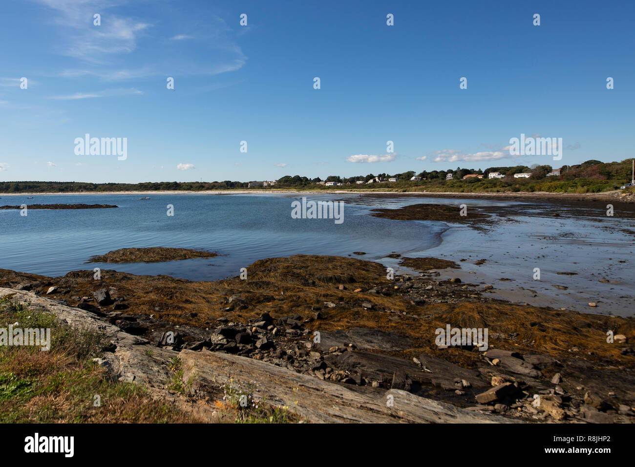 Houses overlooking the water and rocky shoreline of Kettle Cove, Cape Elizabeth, Maine Stock