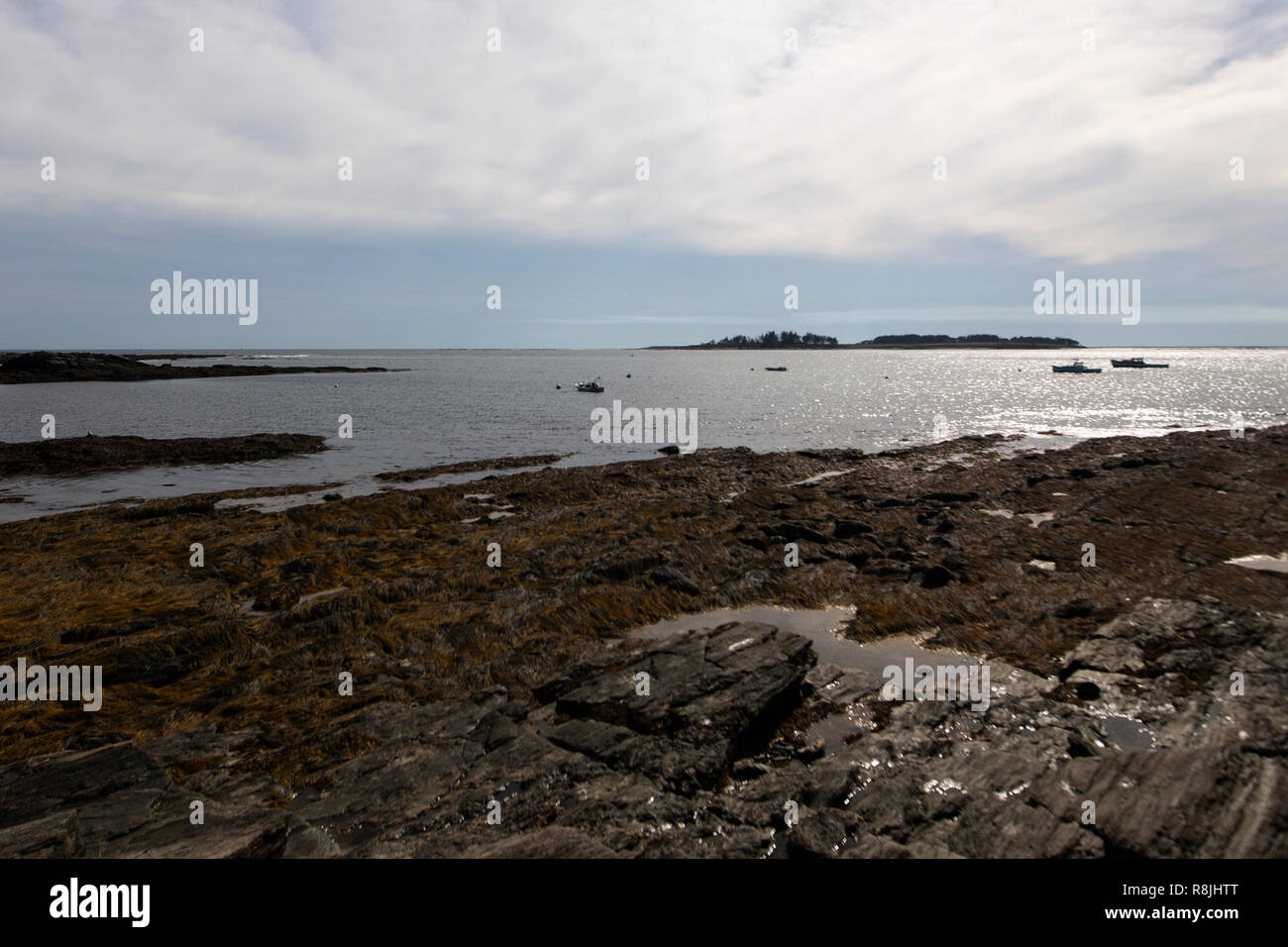 The rocky coastline along Kettle Cove in Cape Elizabeth, Maine Stock