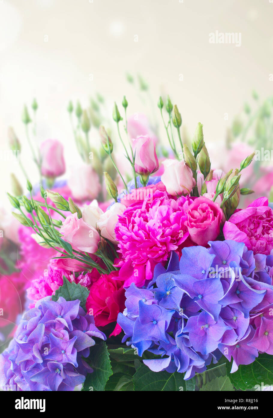 Bright Pink And Blue Flowers Stock Photo Alamy