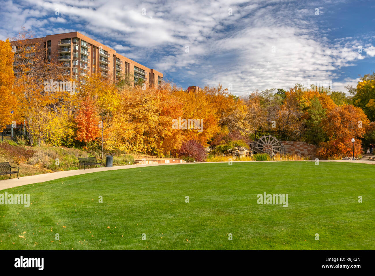Open grass field with fall trees and apartments Stock Photo - Alamy