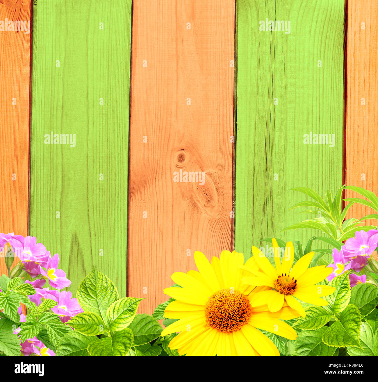 Summer background with old wooden fence, flower and green leaves Stock ...