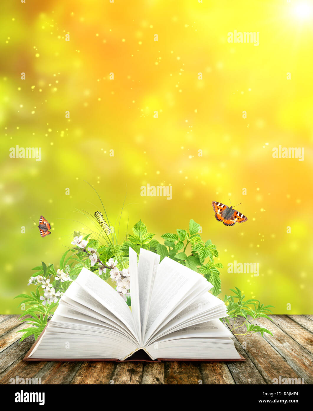 Book of nature on green background Stock Photo - Alamy