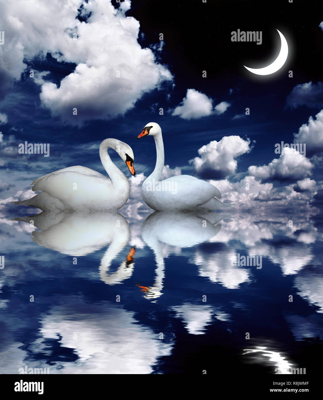 Луна лебединая. Два лебедя. Спокойной ночи с лебедями. Луна и лебеди. Лебеди под луной.