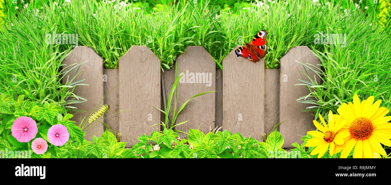 Summer background with old wooden fence and green grass Stock Photo - Alamy