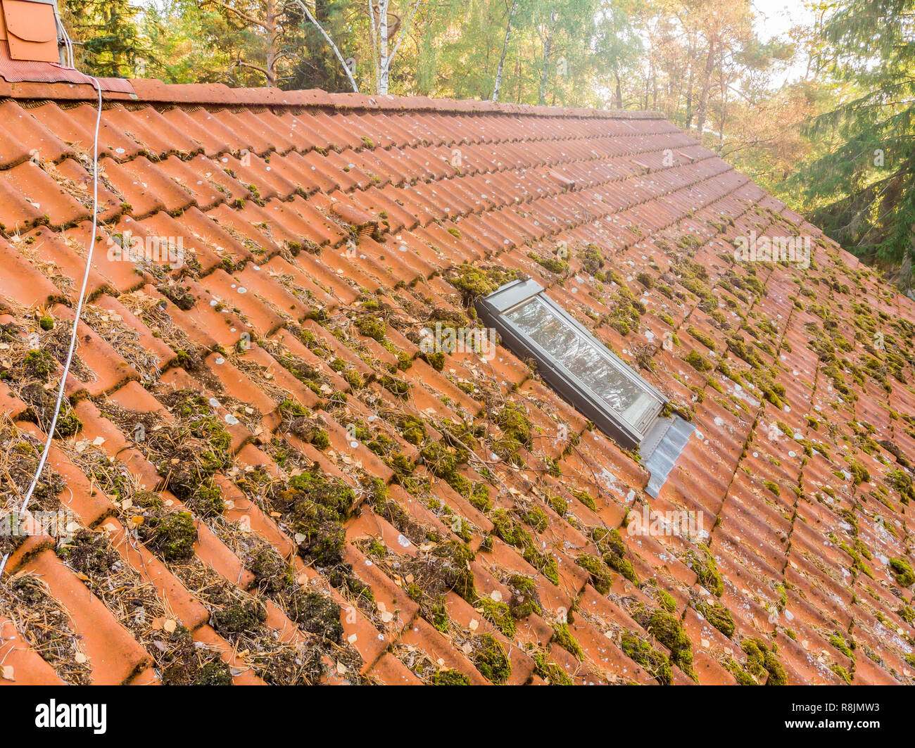 Inspection of the red tiled roof of a single-family house, inspection of the condition of the tiles on one roof side. Stock Photo