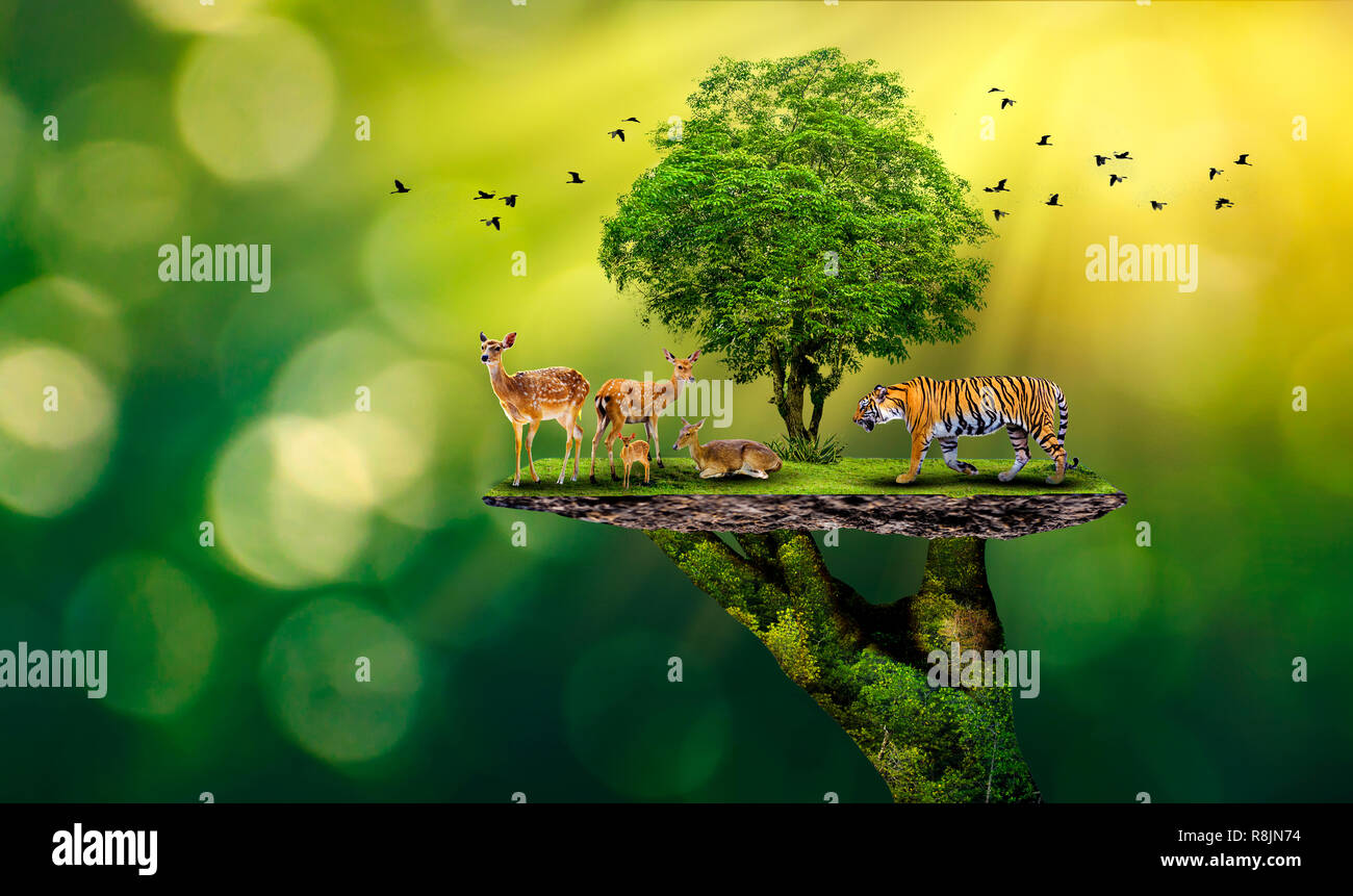 res stock photography and images Biology Diagrams