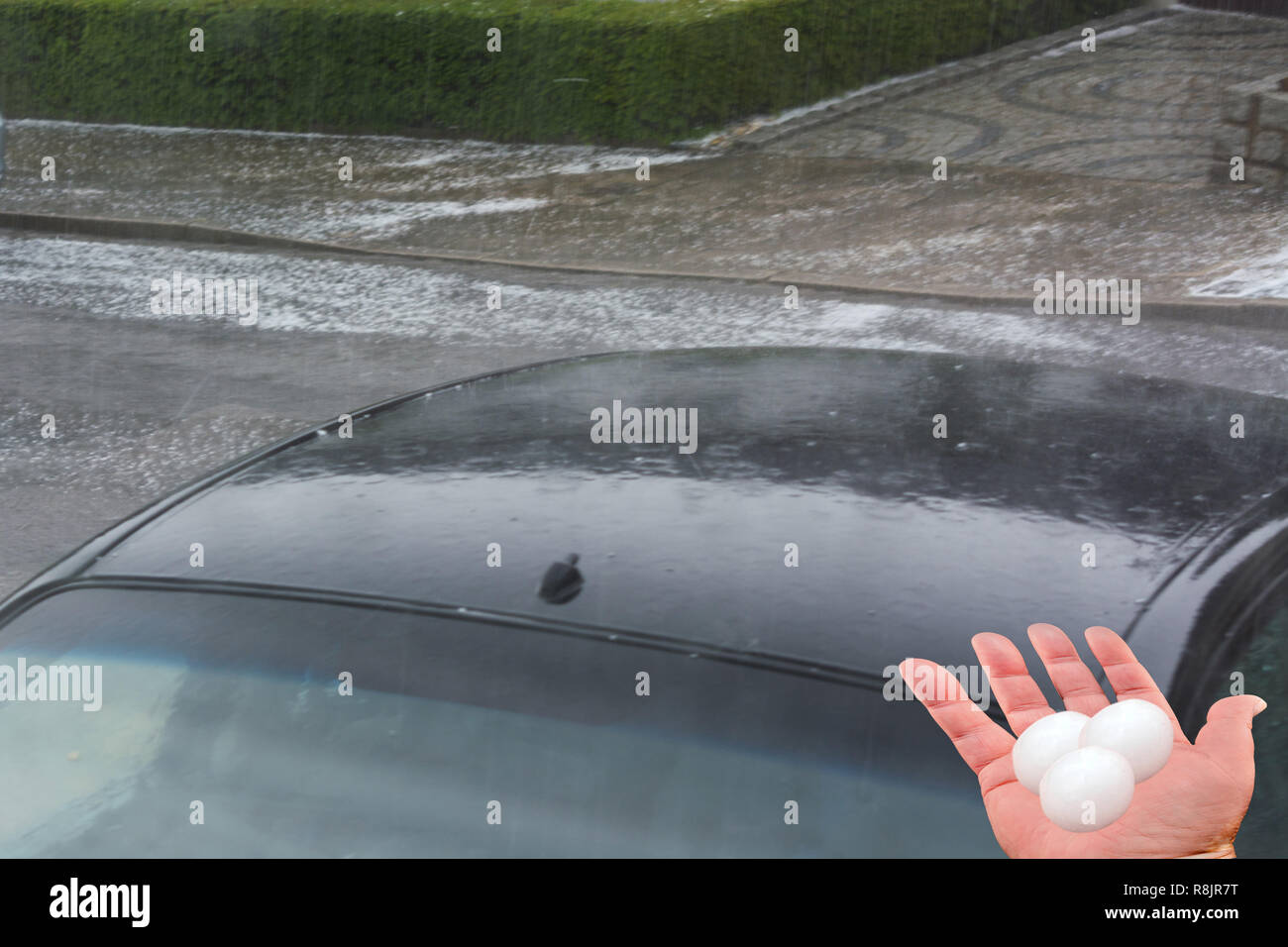 Big hail ice balls on car hood after a heavy hail storm Stock Photo