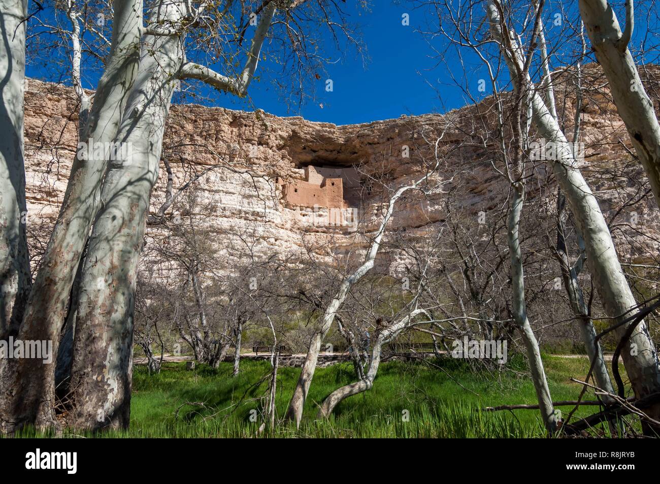 United States, Arizona, Montezuma Castle, ancient anasazi cave village
