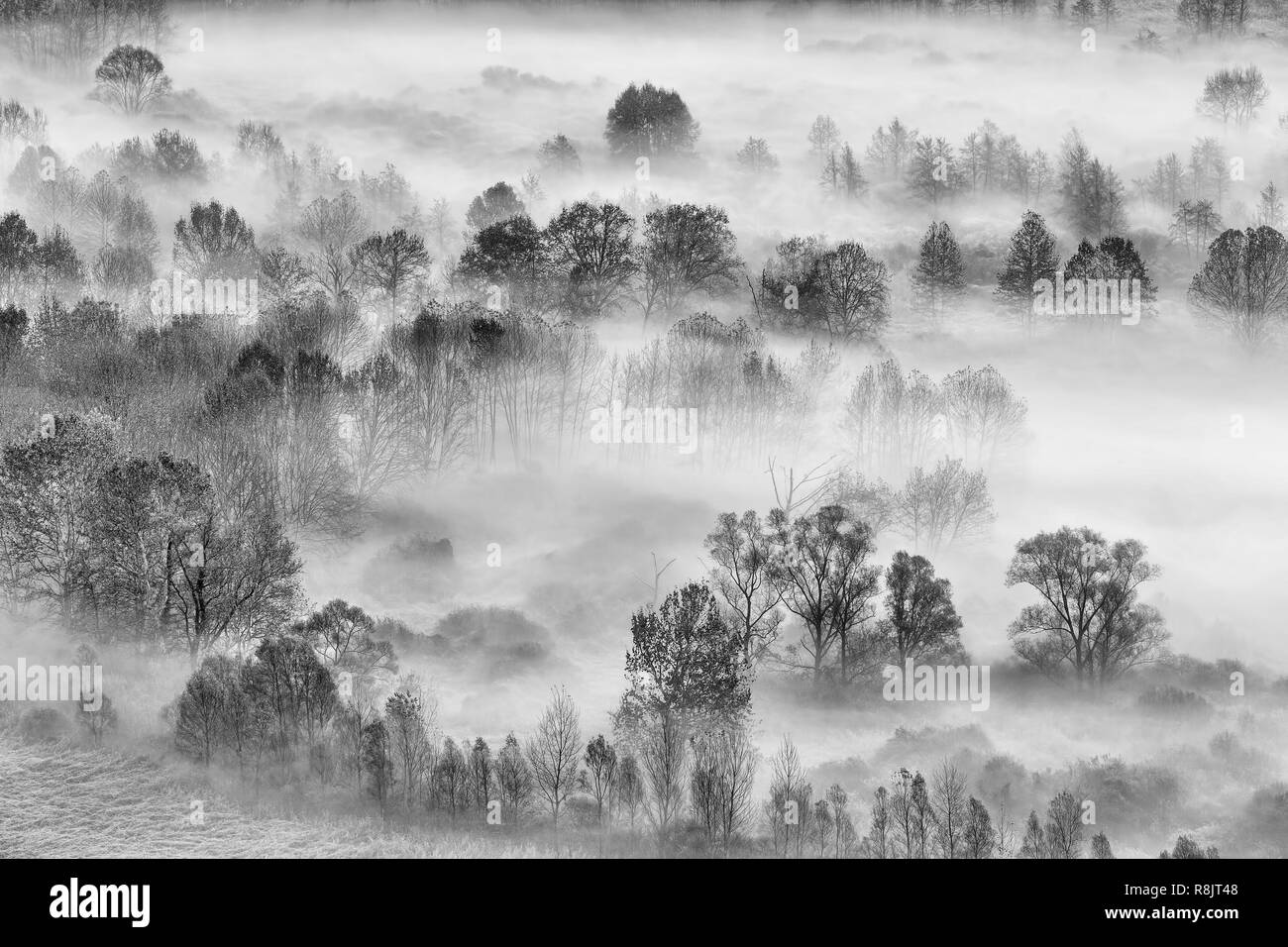 Incredible panorama Black and White Stock Photos & Images - Alamy