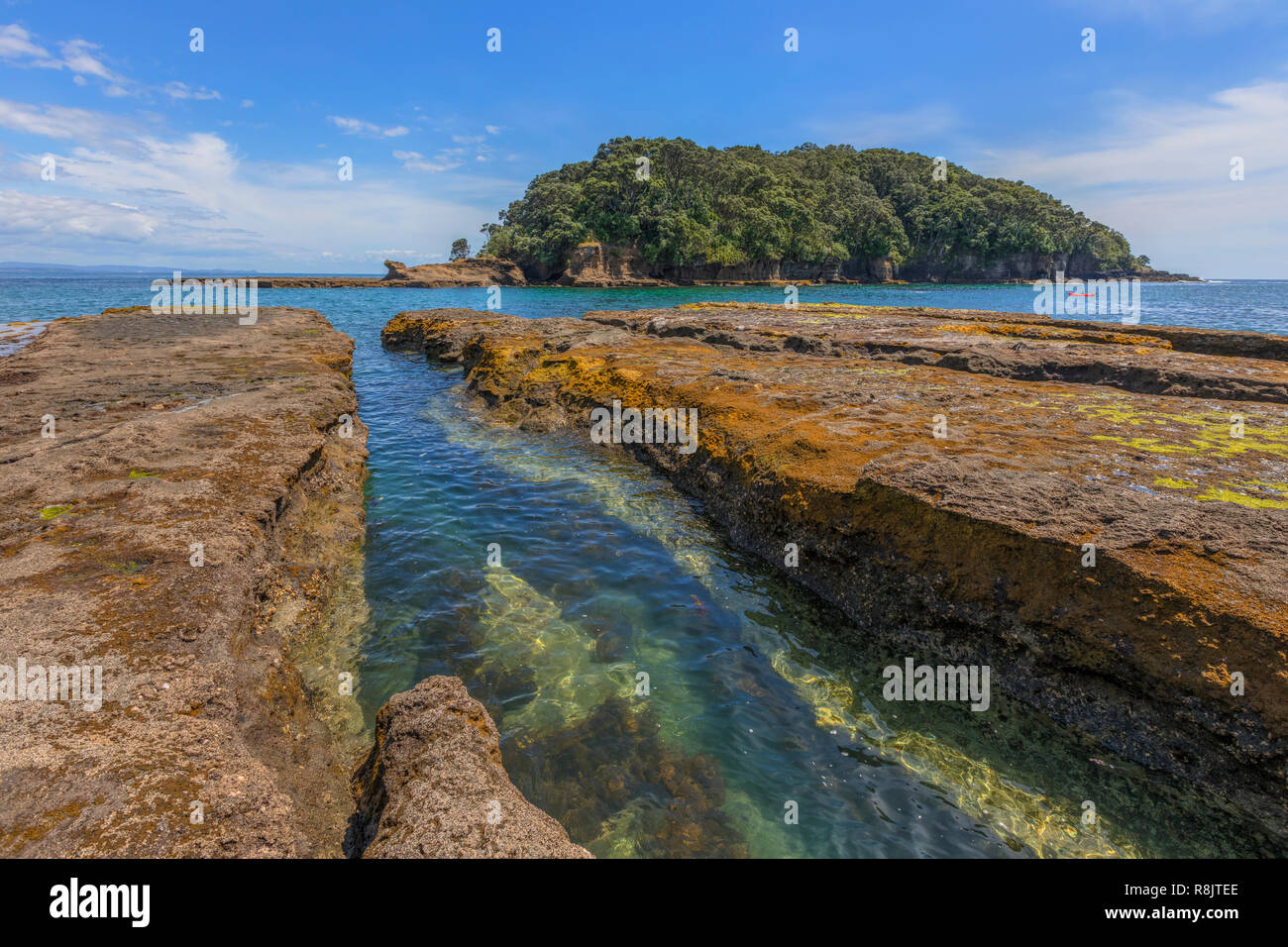 Goat Island, Warkworth, North Island, New Zealand Stock Photo Alamy