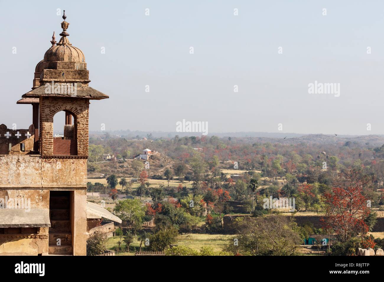India, Madhya Pradesh, Orchha, Raja Mahal palace chhatris Stock Photo