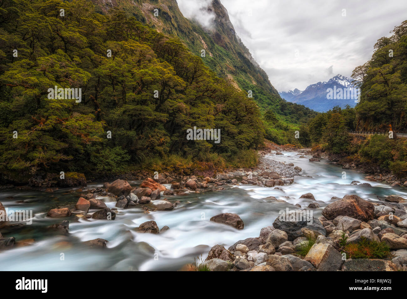 Falls Creek, Milford Sound, South Island, Fiordland, New Zealand Stock Photo