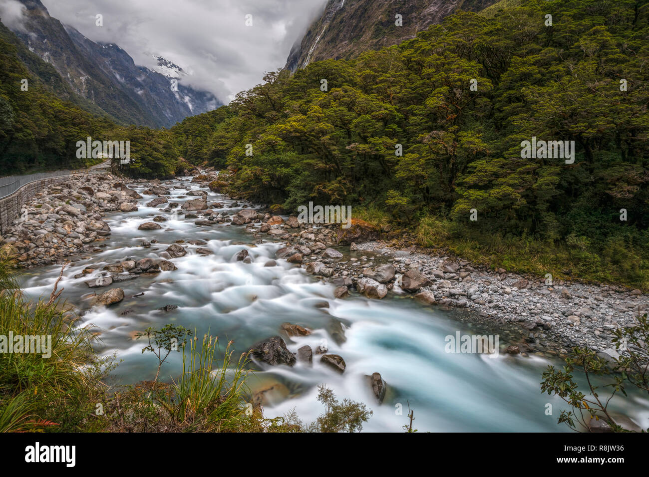 Falls Creek, Milford Sound, South Island, Fiordland, New Zealand Stock Photo