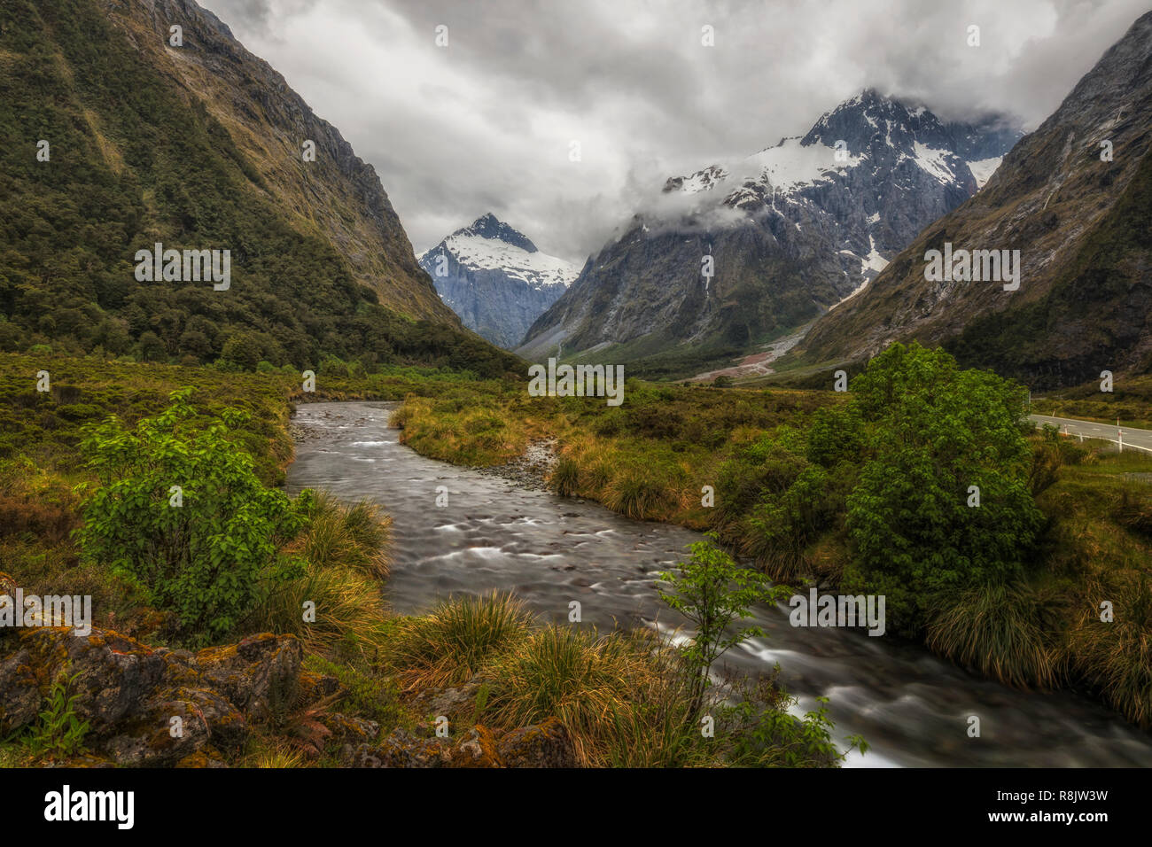 Monkey Creek, Milford Sound, South Island, Fiordland, New Zealand Stock Photo