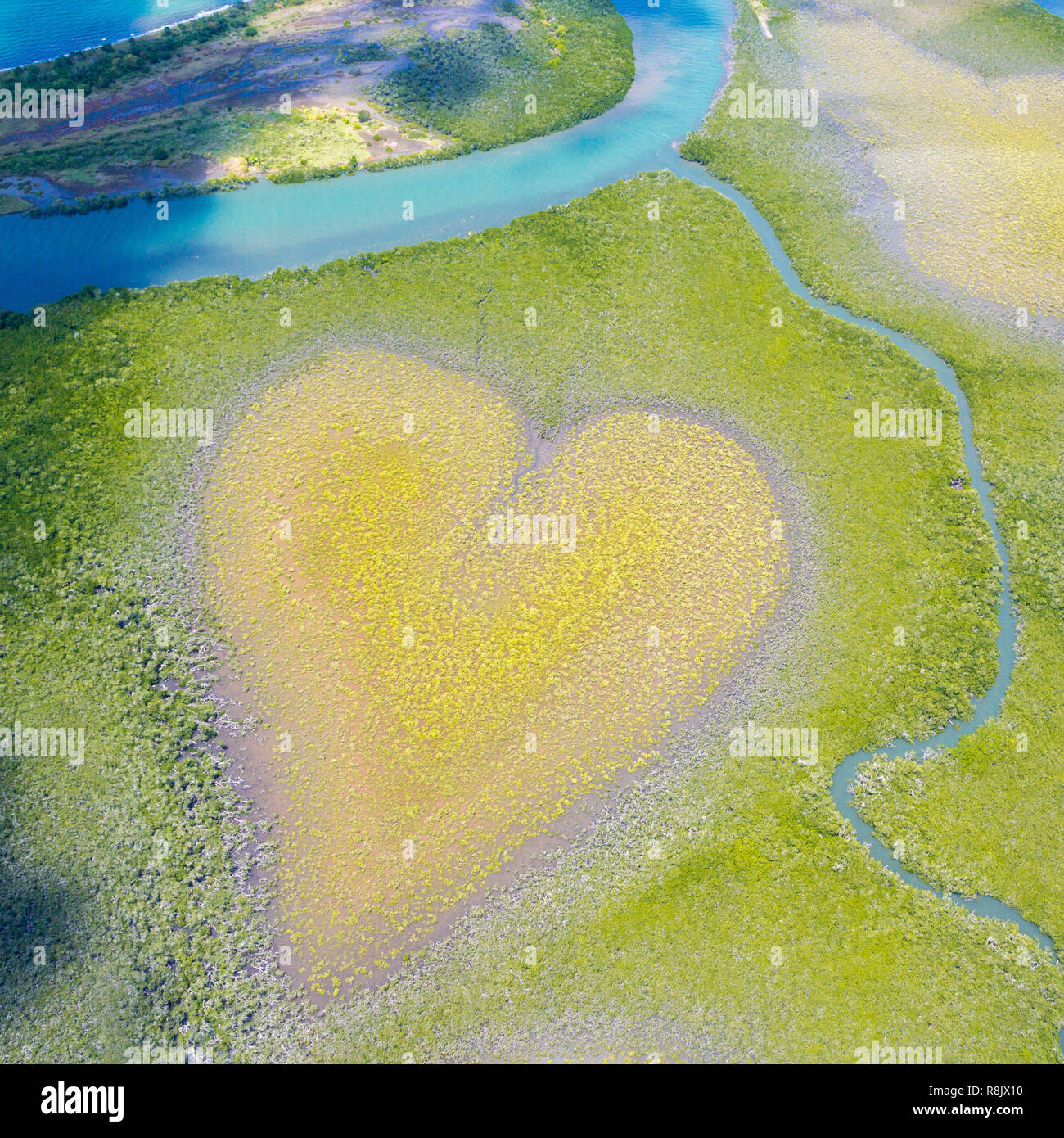 Heart of Voh, aerial view, formation of mangroves vegetation resembles a heart seen from above, New Caledonia, Micronesia, South Pacific Ocean. Heart of Earth. Earth day. Love life, save environment. Stock Photo