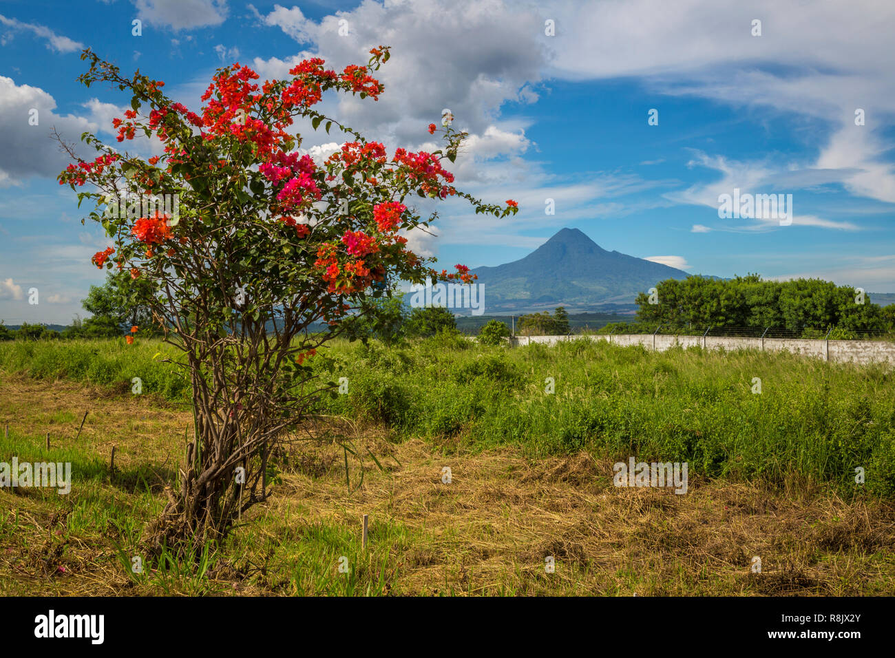Highway und Blick auf Mount Matutum, Mindanao, Philippinen Stock Photo
