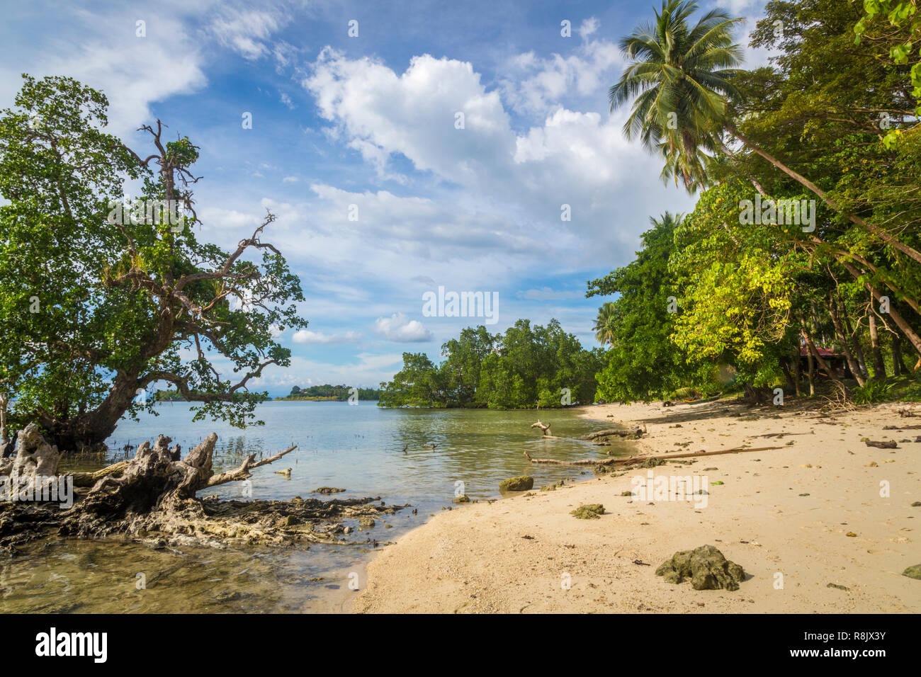 Hof Gorei auf Samal Island auf den Philippinen Stock Photo