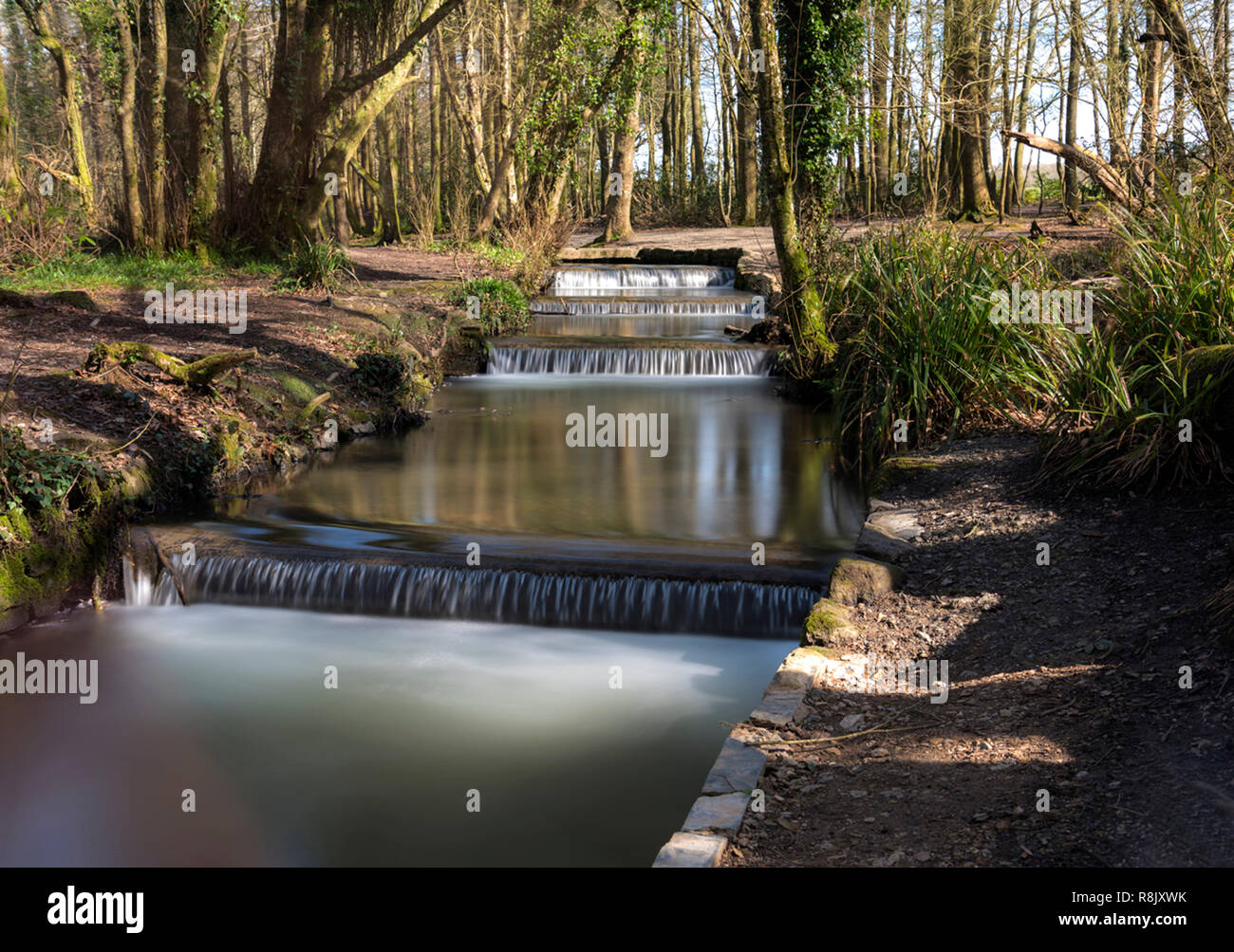 Falling water at Tehidy country park Cornwall UK Stock Photo