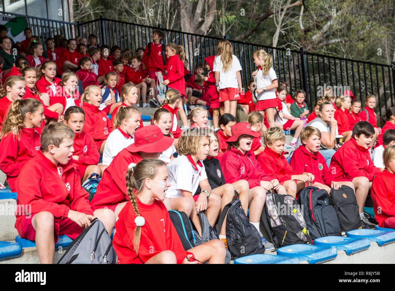 School boys and girls in sports uniform at a primary school sports day