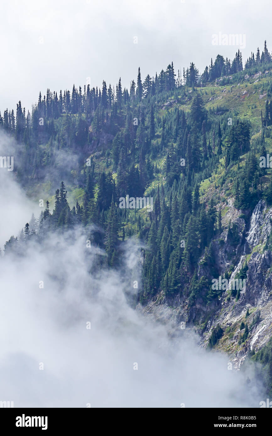 vertical of fog mountainside and forest Stock Photo - Alamy
