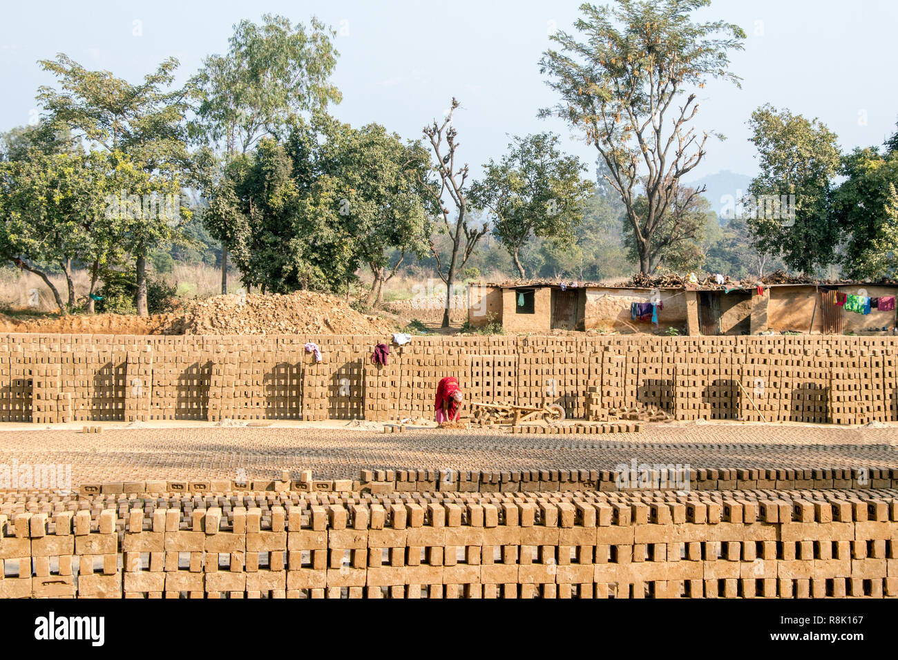 Row soil mud bricks place in open to drying. labour woman making bricks Stock Photo