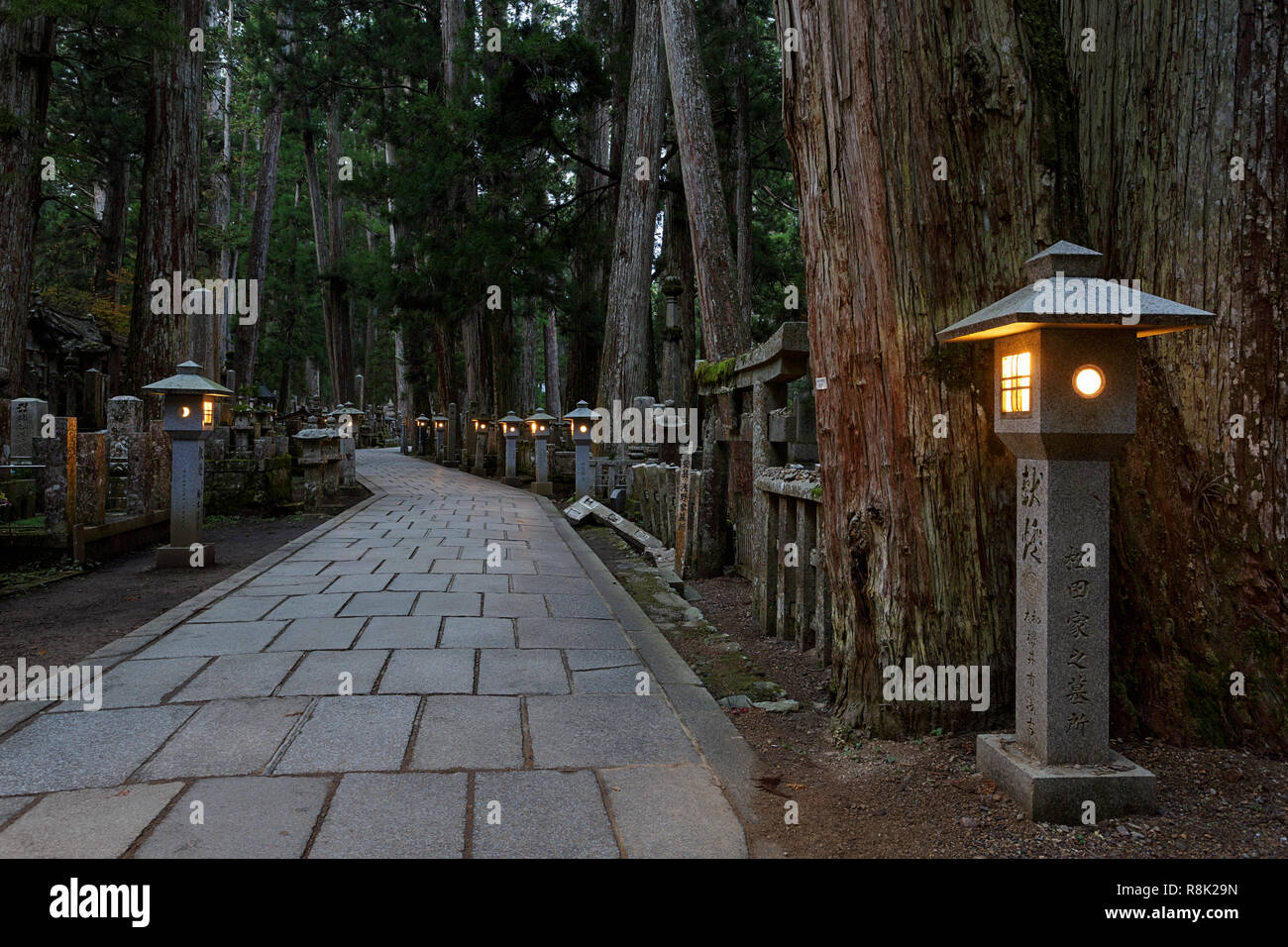 A path through the Oku-no-in ancient Buddhist cemetery in Koyasan (��Ұɽ), Japan Stock Photo