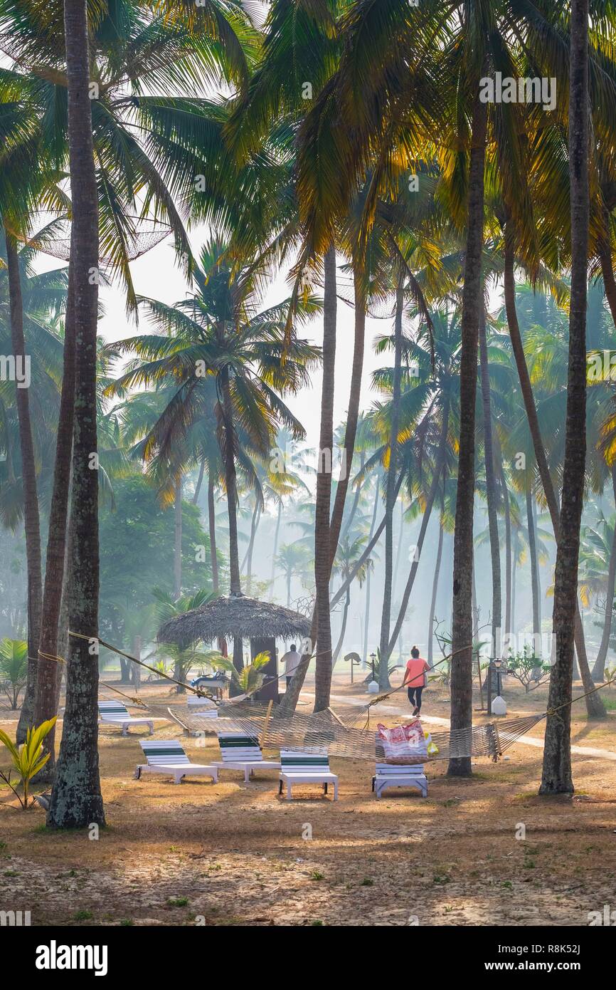 Marari beach resort hotel hires stock photography and images Alamy