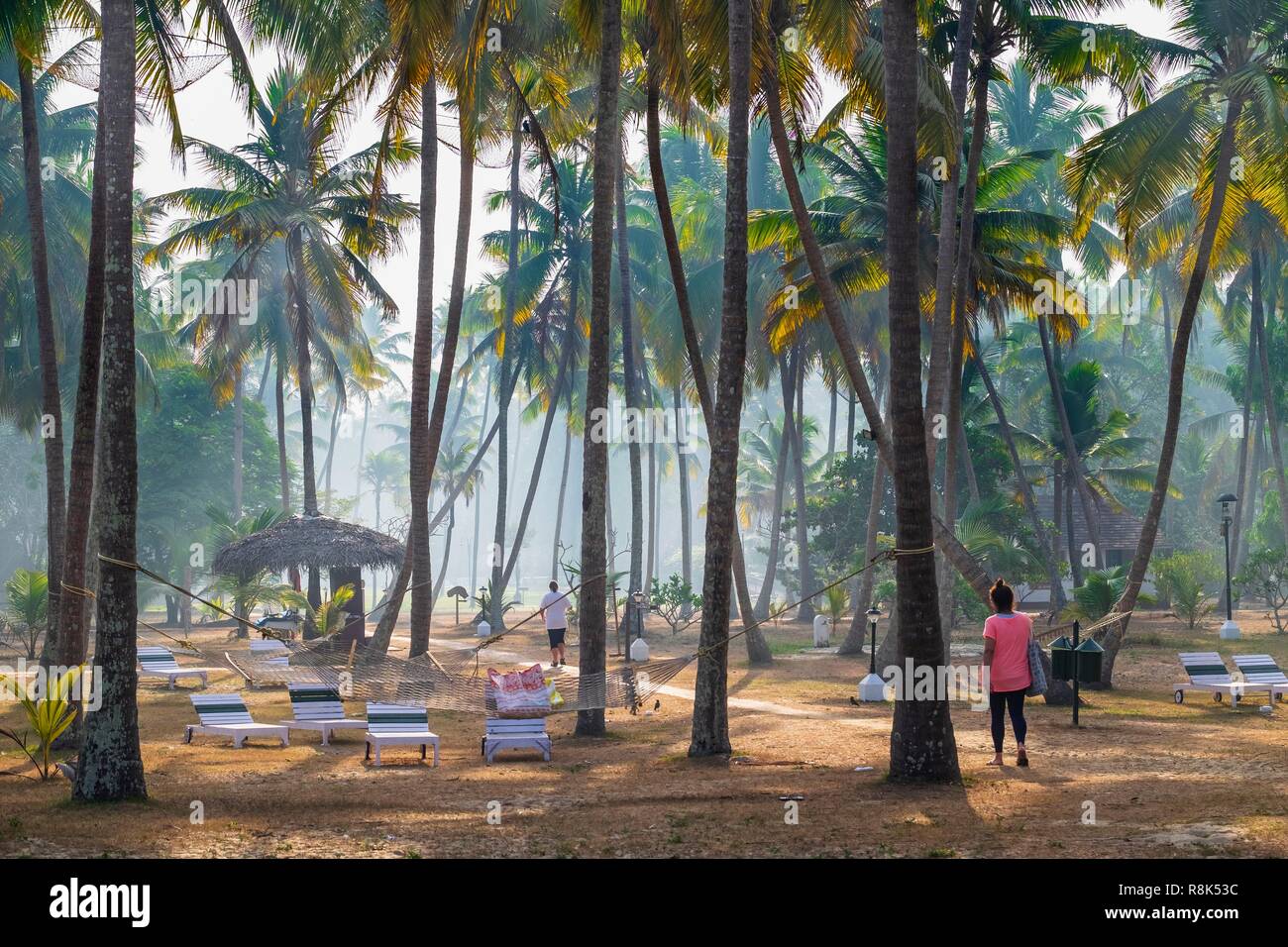 India, state of Kerala, Mararikulam, Marari Beach, park of Marari Beach