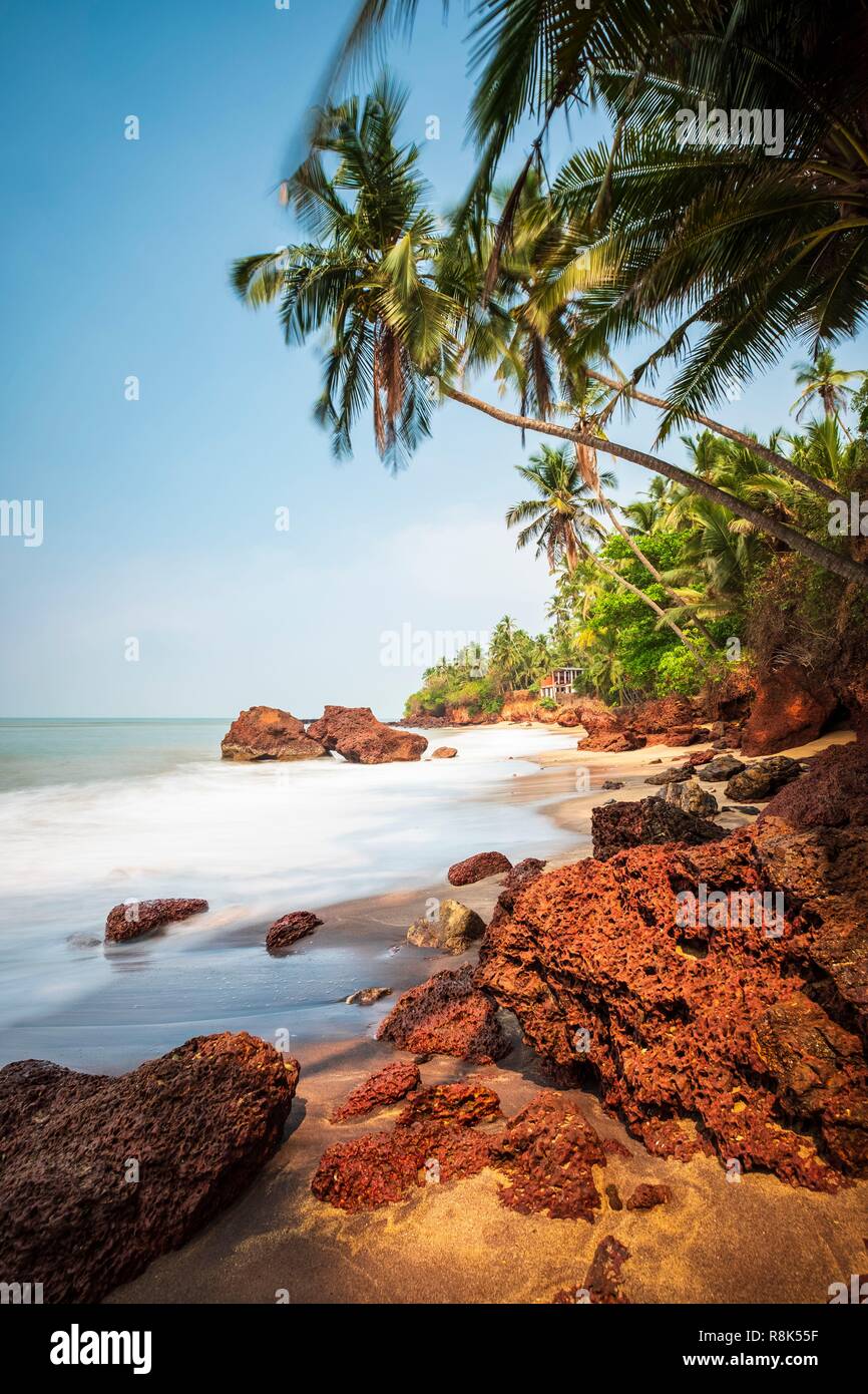 India, state of Kerala, surroundings of Kannur (Cannamore), Thottada ...