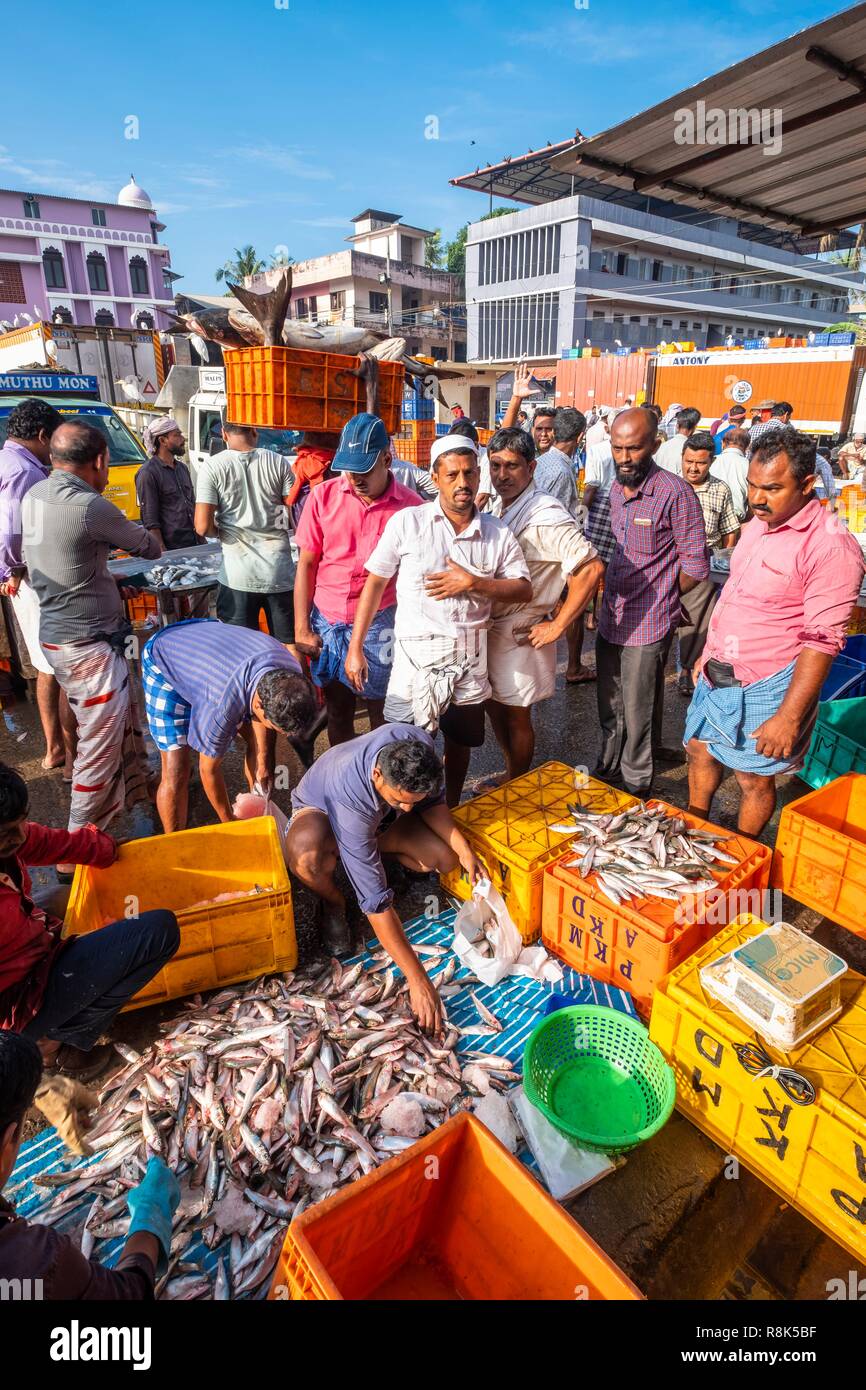 India, state of Kerala, Kozhikode or Calicut, at the fish market Stock