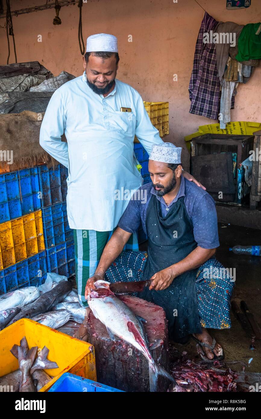 India, state of Kerala, Kozhikode or Calicut, at the fish market Stock ...
