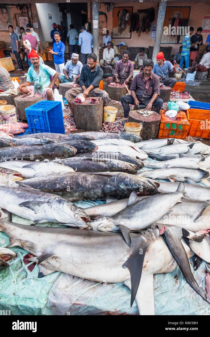 India, state of Kerala, Kozhikode or Calicut, at the fish market Stock