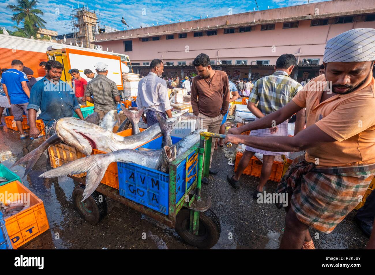 India, state of Kerala, Kozhikode or Calicut, at the fish market Stock Photo Alamy