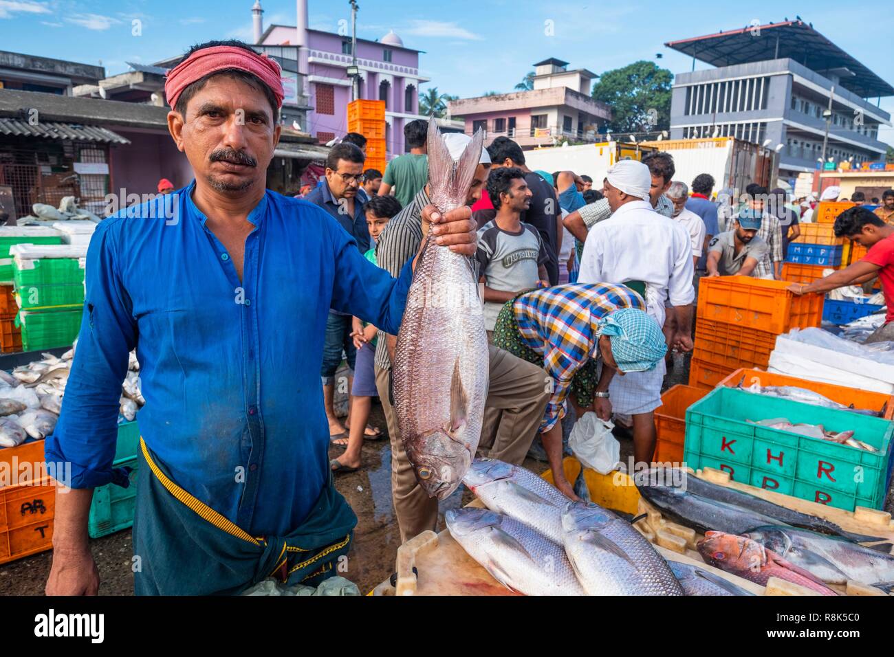 India, state of Kerala, Kozhikode or Calicut, at the fish market Stock Photo