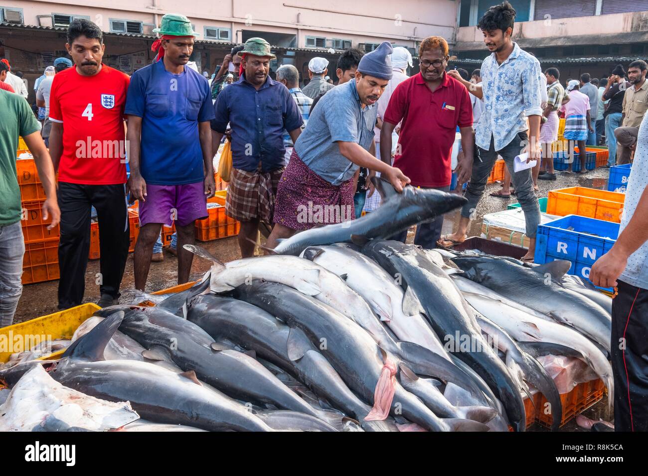 India, state of Kerala, Kozhikode or Calicut, at the fish market Stock