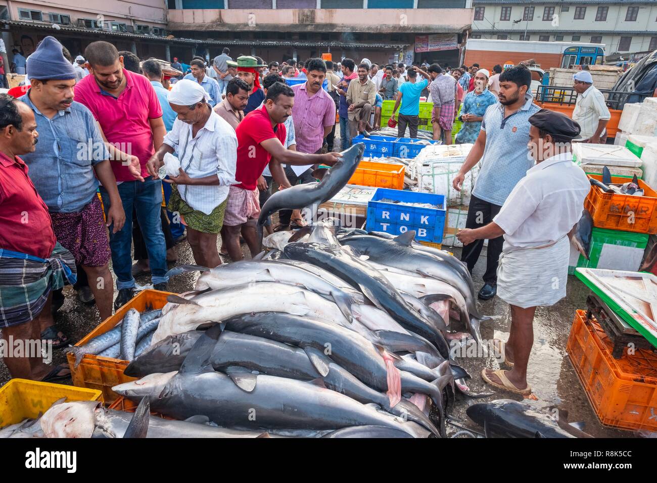 India, state of Kerala, Kozhikode or Calicut, at the fish market Stock ...