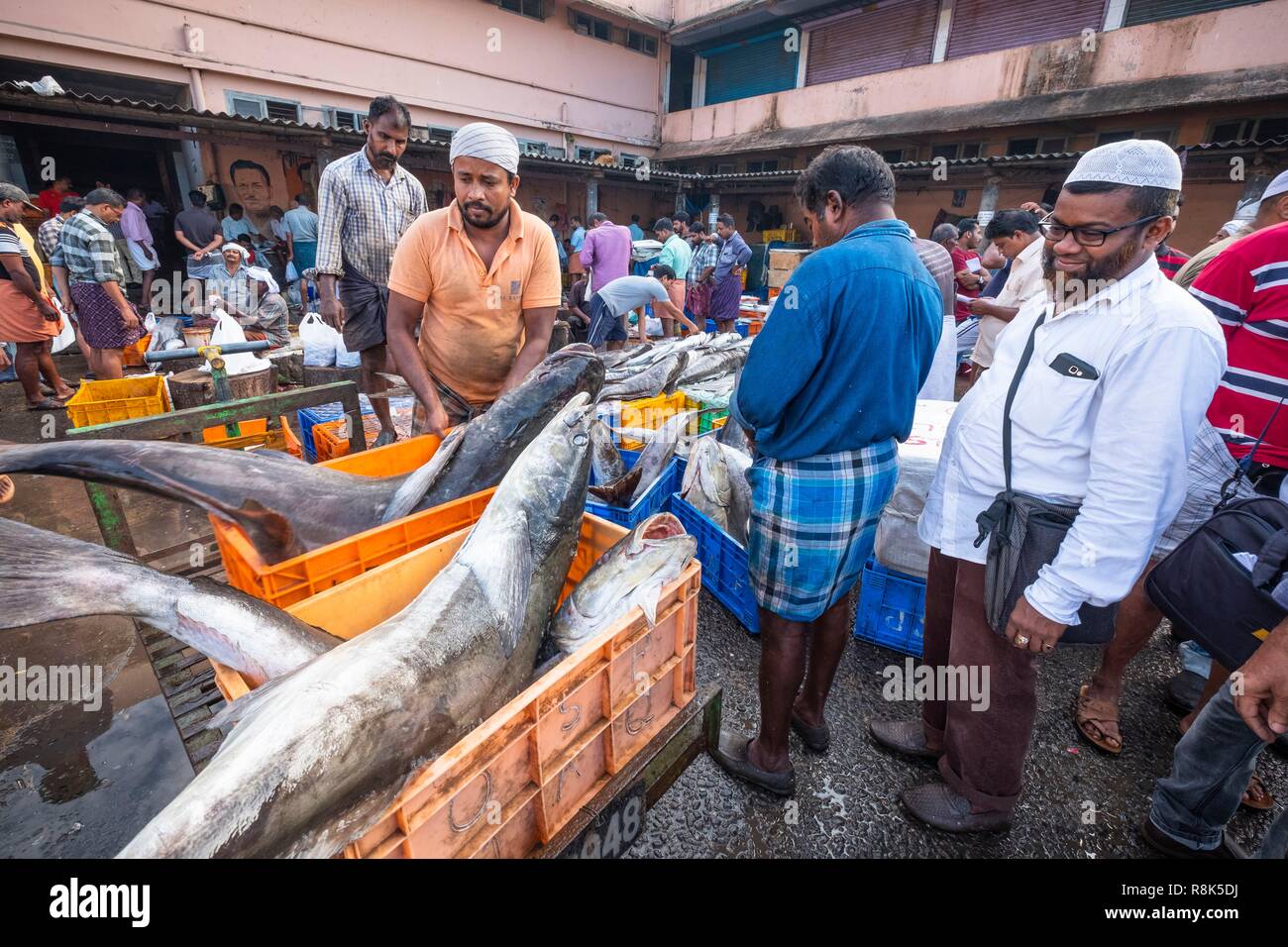 India, state of Kerala, Kozhikode or Calicut, at the fish market Stock