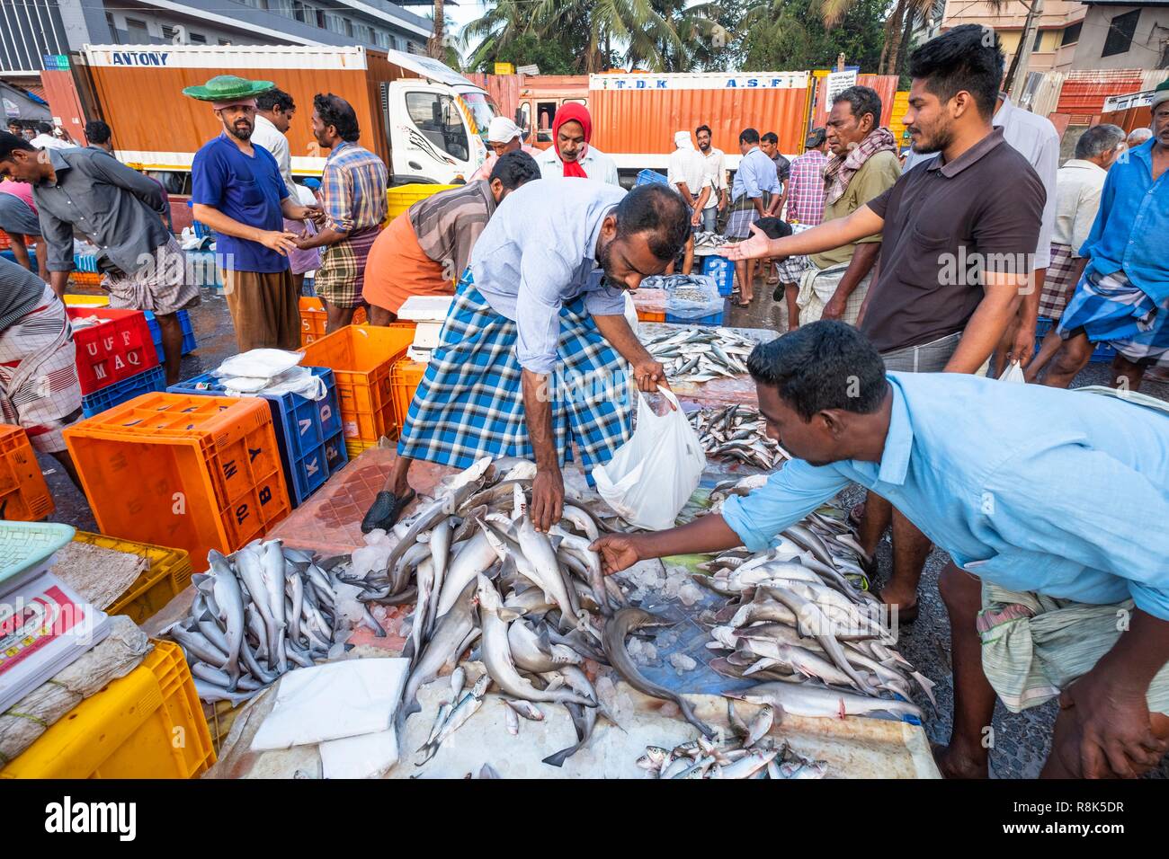 India, state of Kerala, Kozhikode or Calicut, at the fish market Stock