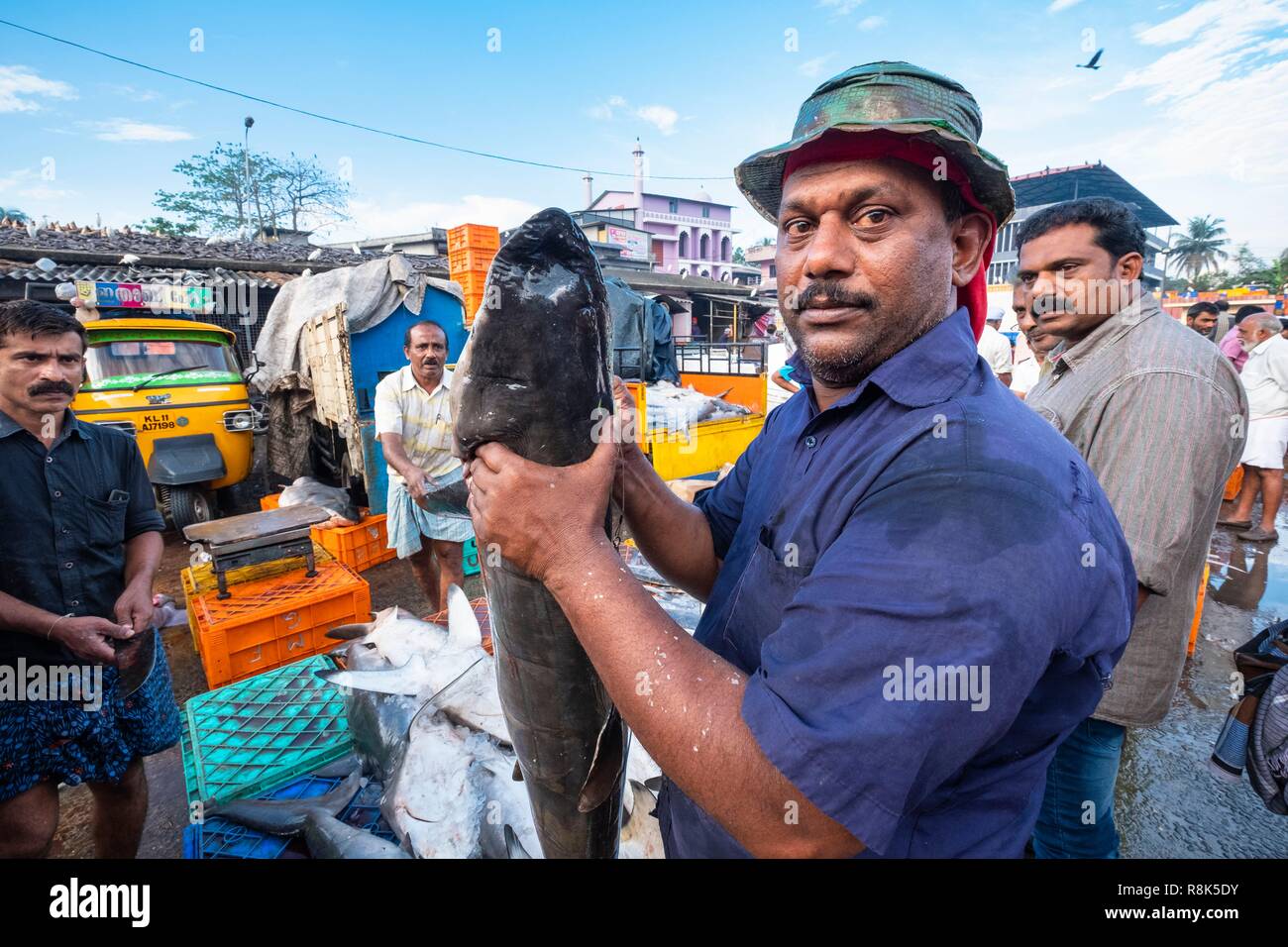 India, state of Kerala, Kozhikode or Calicut, at the fish market Stock Photo Alamy