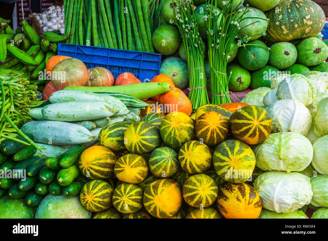 India, state of Kerala, Kozhikode or Calicut, vegetable market Stock