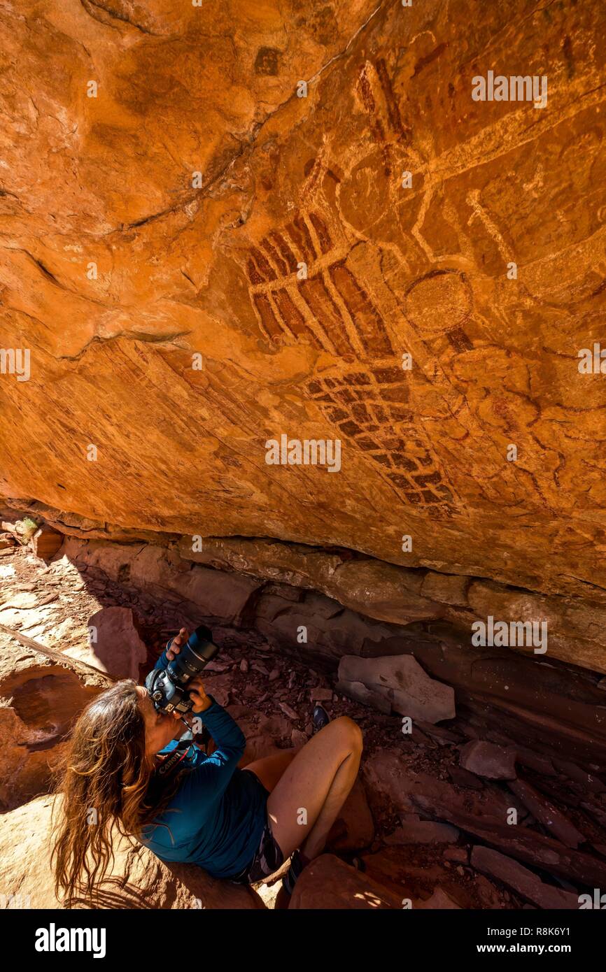United States, Arizona, Grand Canyon National Park, North Rim, Tuckup