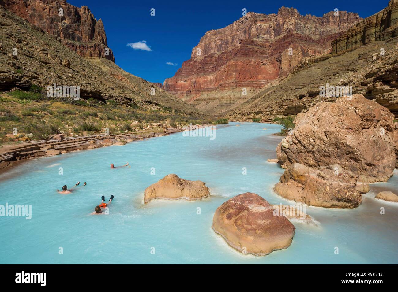 United States, Arizona, Grand Canyon National Park, rafting down the  Colorado river between Lee's Ferry near