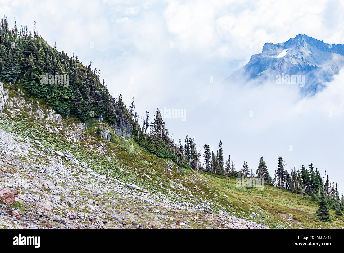Alpine grassland hillside hi-res stock photography and images - Alamy
