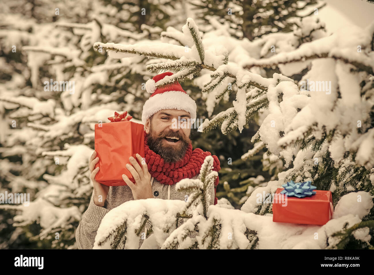 Boxing day, party celebration Stock Photo Alamy