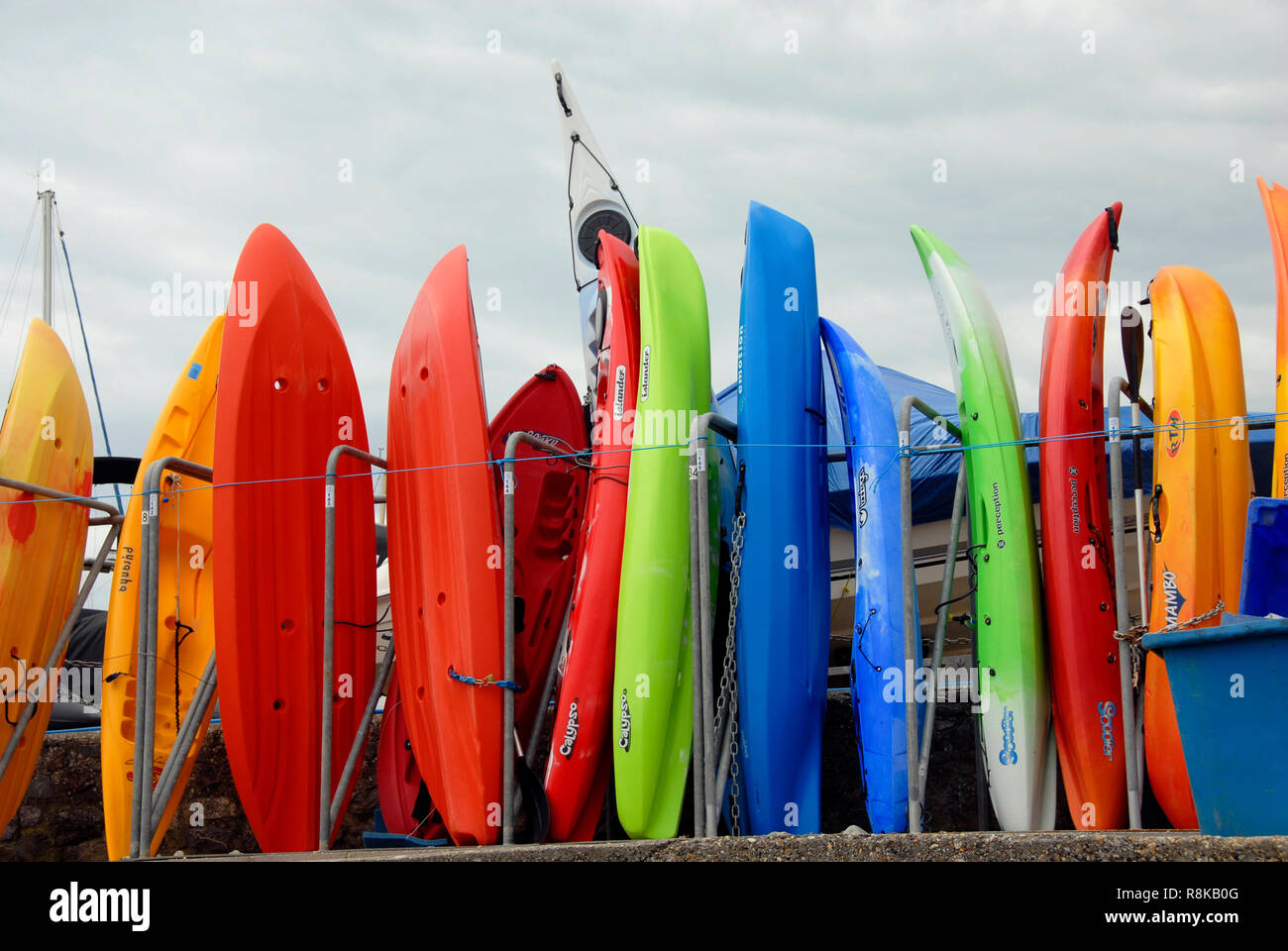 Surf boards in various colors in store on shore, Lyme Regis, Dorset