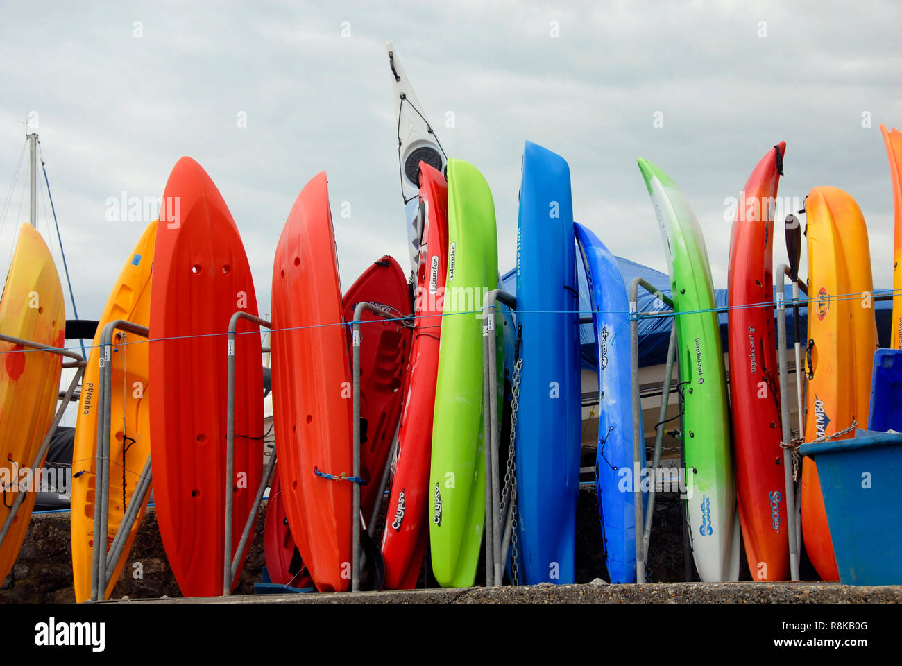 Surf boards in various colors in store on shore, Lyme Regis, Dorset, England Stock Photo